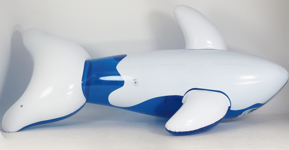 Whale 5m blue transparent_5